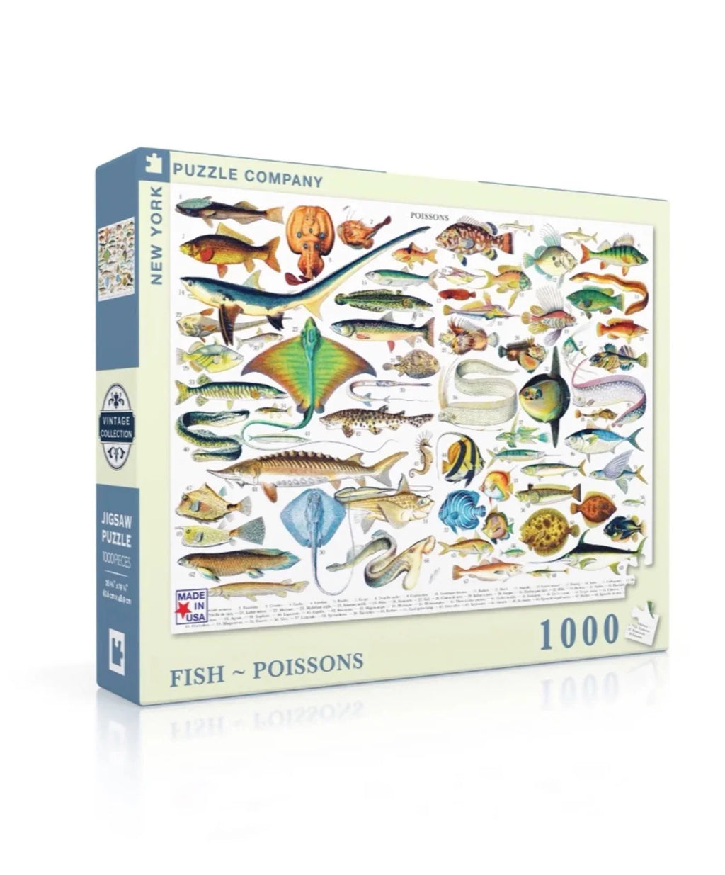 Fish D72709