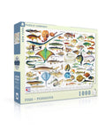 Fish D72709