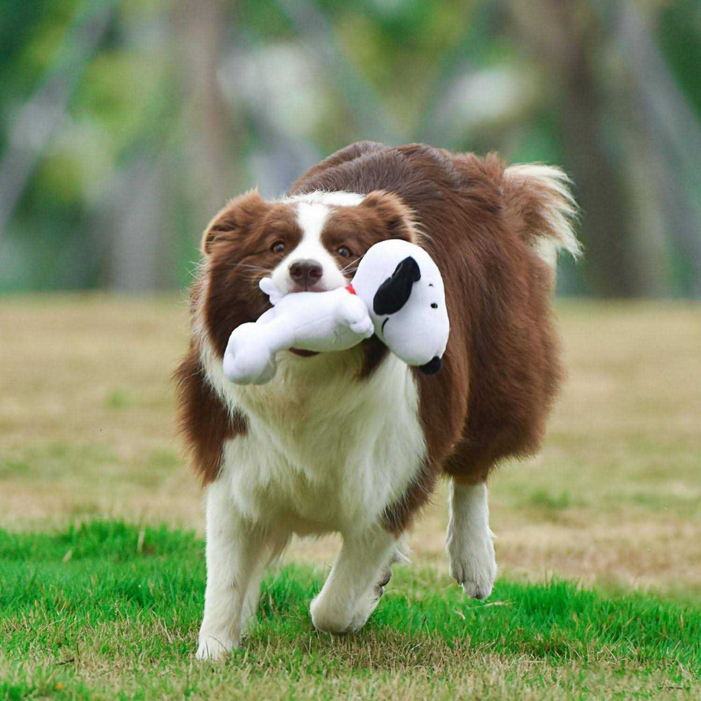 White Plush Dog Toy G565774