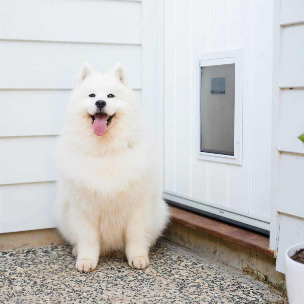 Aluminum Pet Door O32525