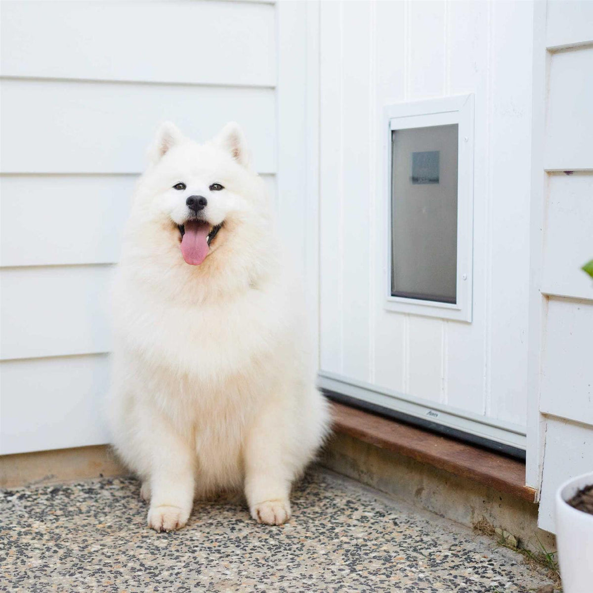Aluminum Pet Door O32525