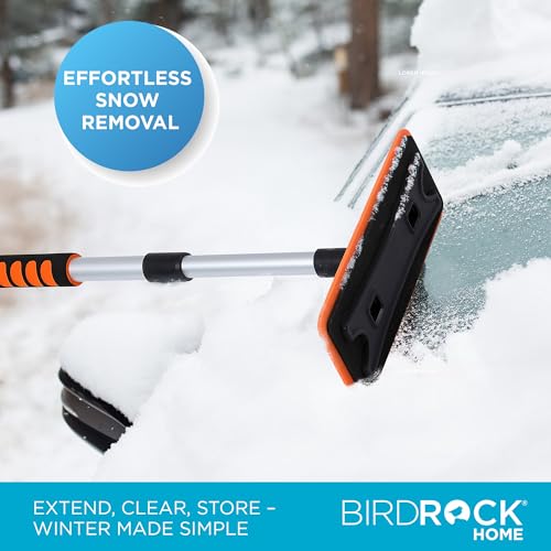 55" Extendable Snow Brush with Detachable Scraper E35905