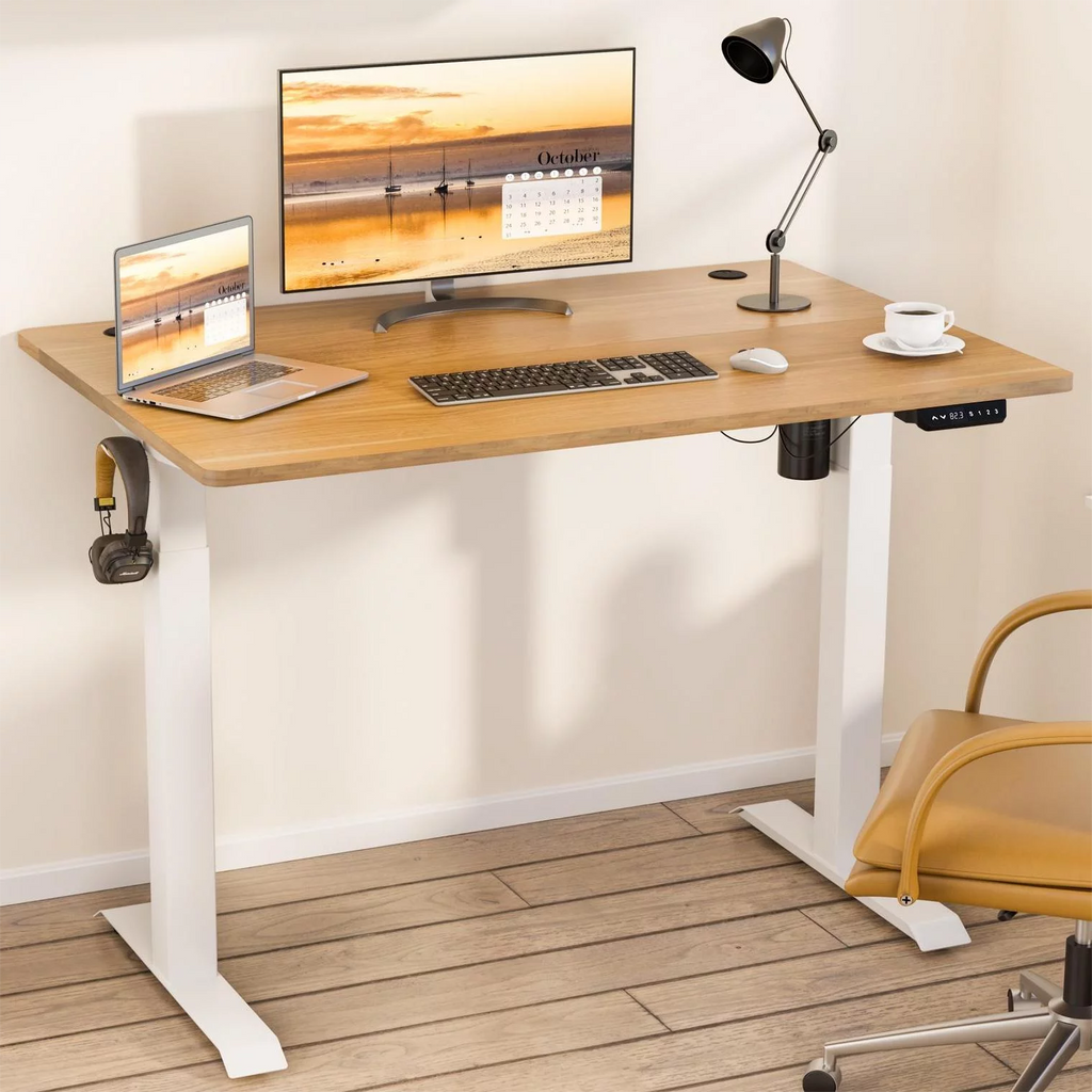 48" x 24" Height Adjustable Electric Standing Desk with Memory Controller G156