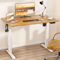 48" x 24" Height Adjustable Electric Standing Desk with Memory Controller G156