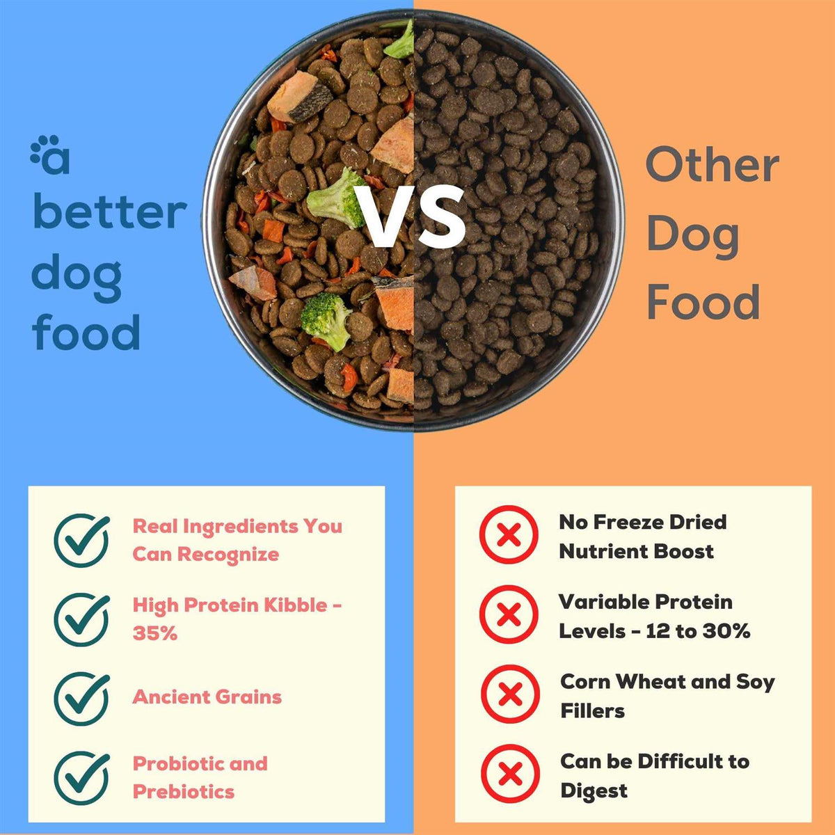 Salmon Raw Dog Food T451