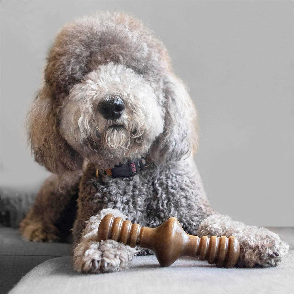 Chicken Dog Chew Toy T9578