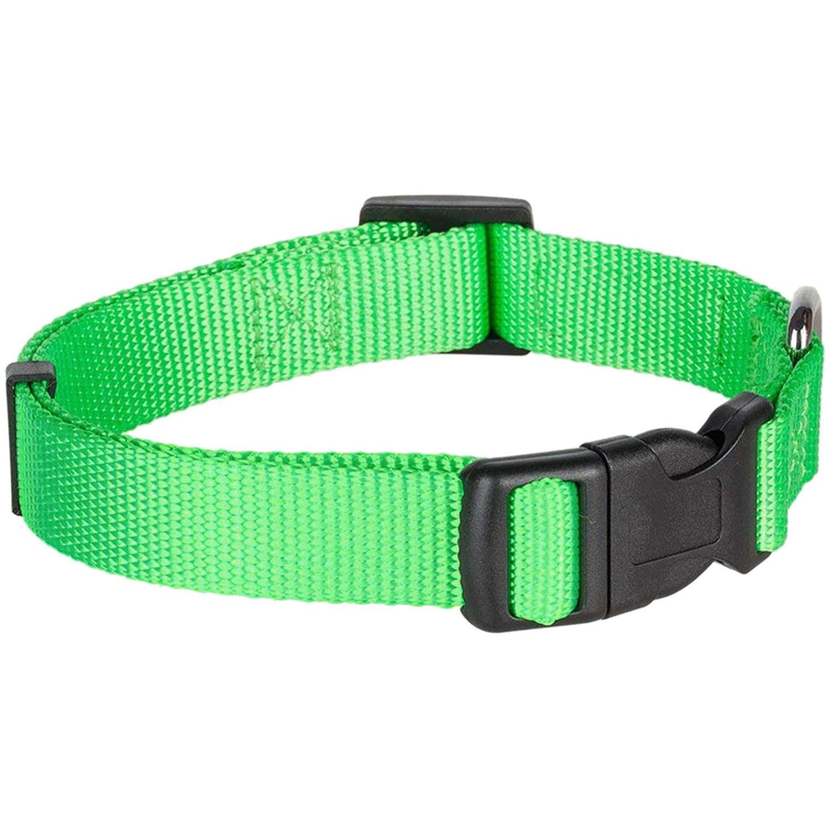 Classic Dog Collar Q541