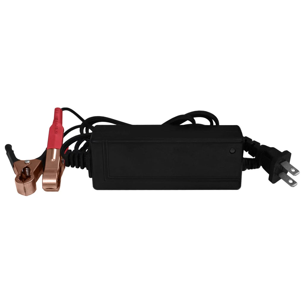 YTZ10S 12V Battery with 2Amp Charger Q978933