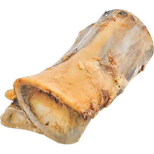 Large Marrow Bone J944