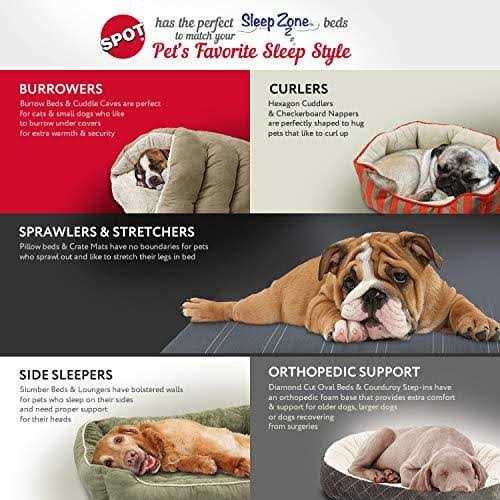 Quilted Oval Cuddler Pet Bed D545