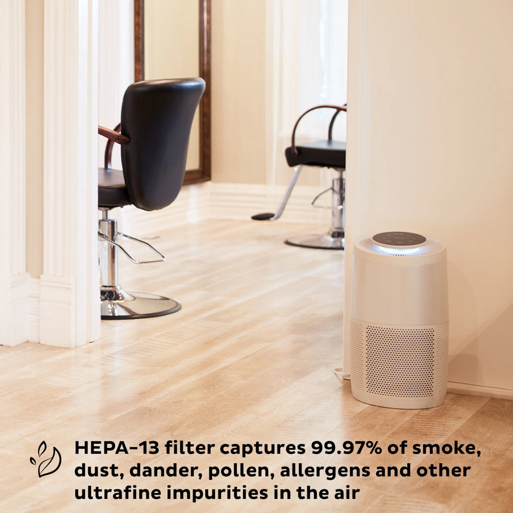 HEPA Air Purifier with Multiple Quiet Fan Speeds E377034