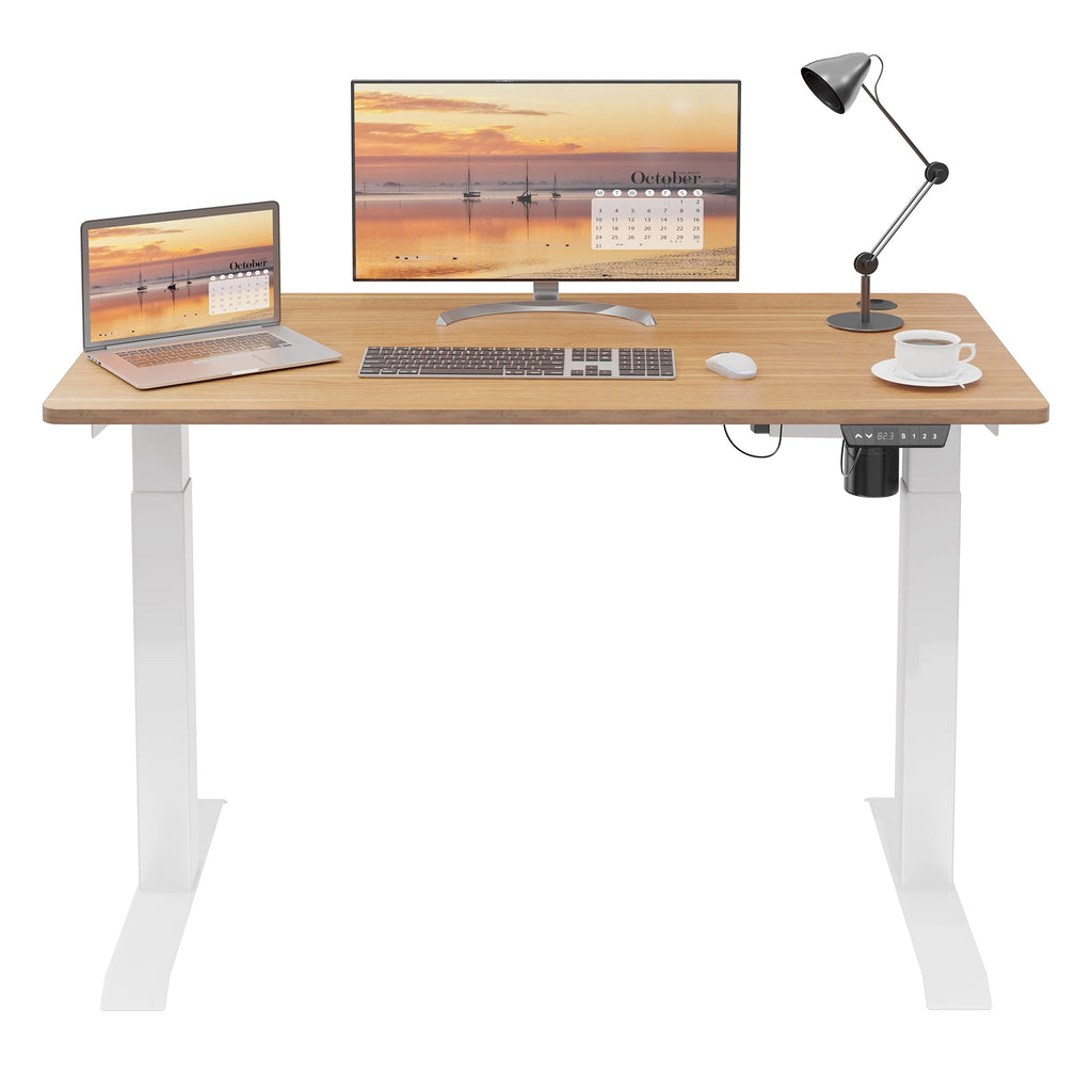 48" x 24" Height Adjustable Electric Standing Desk with Memory Controller G156