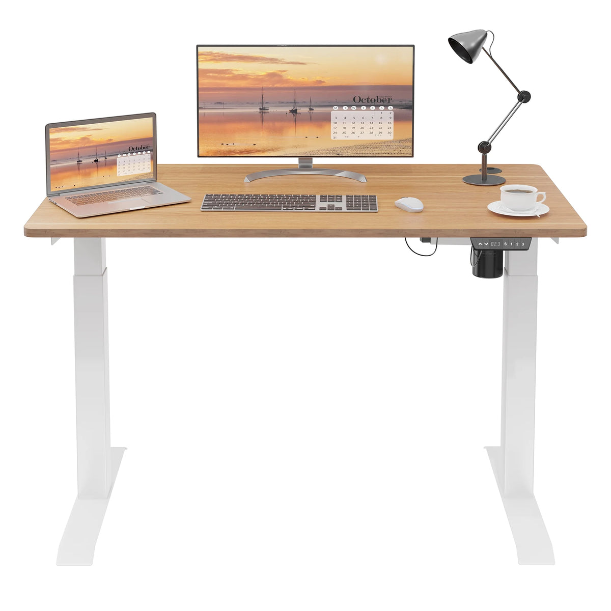 48" x 24" Height Adjustable Electric Standing Desk with Memory Controller G156