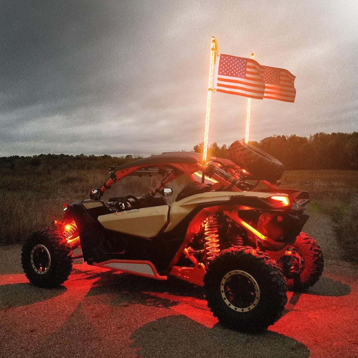 LED Whip Lights with Bluetooth and Flag Pole, 366+ Lighting Modes RGB, 2pcs 3ft W717345
