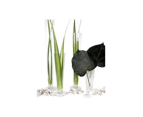 Clear Glass Trumpet Vase 20x22H 6ct O81295