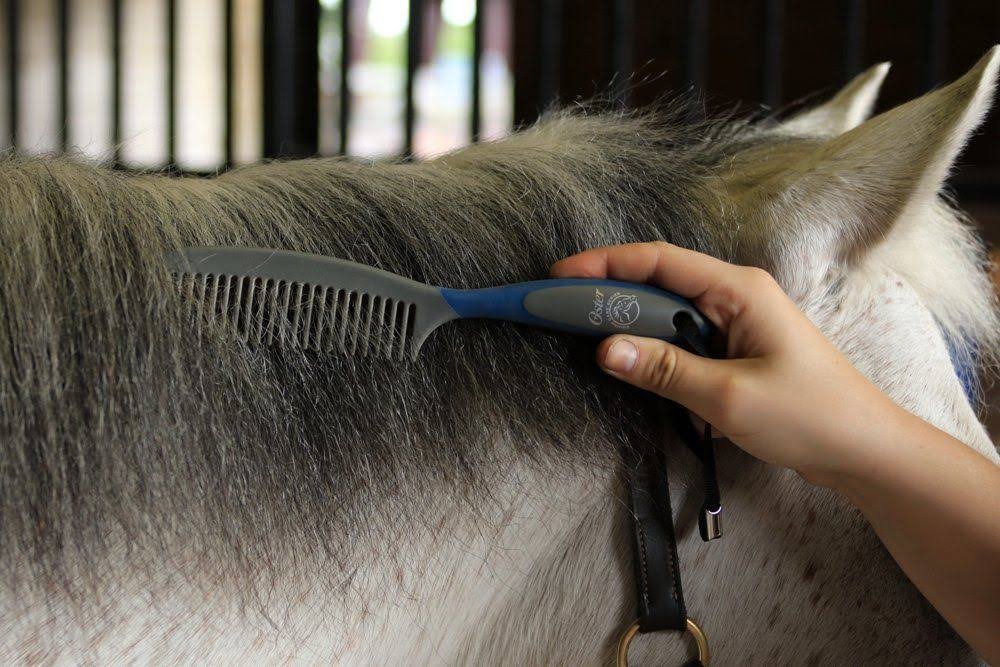 7-Piece Blue Grooming Kit Z559