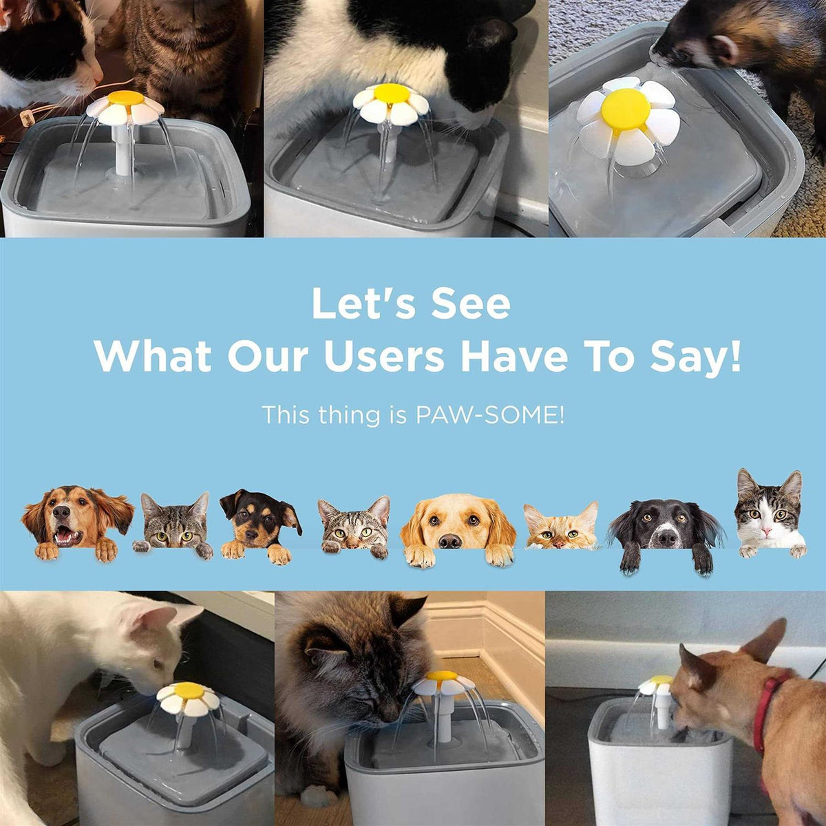 Cat Water Fountain Y6826