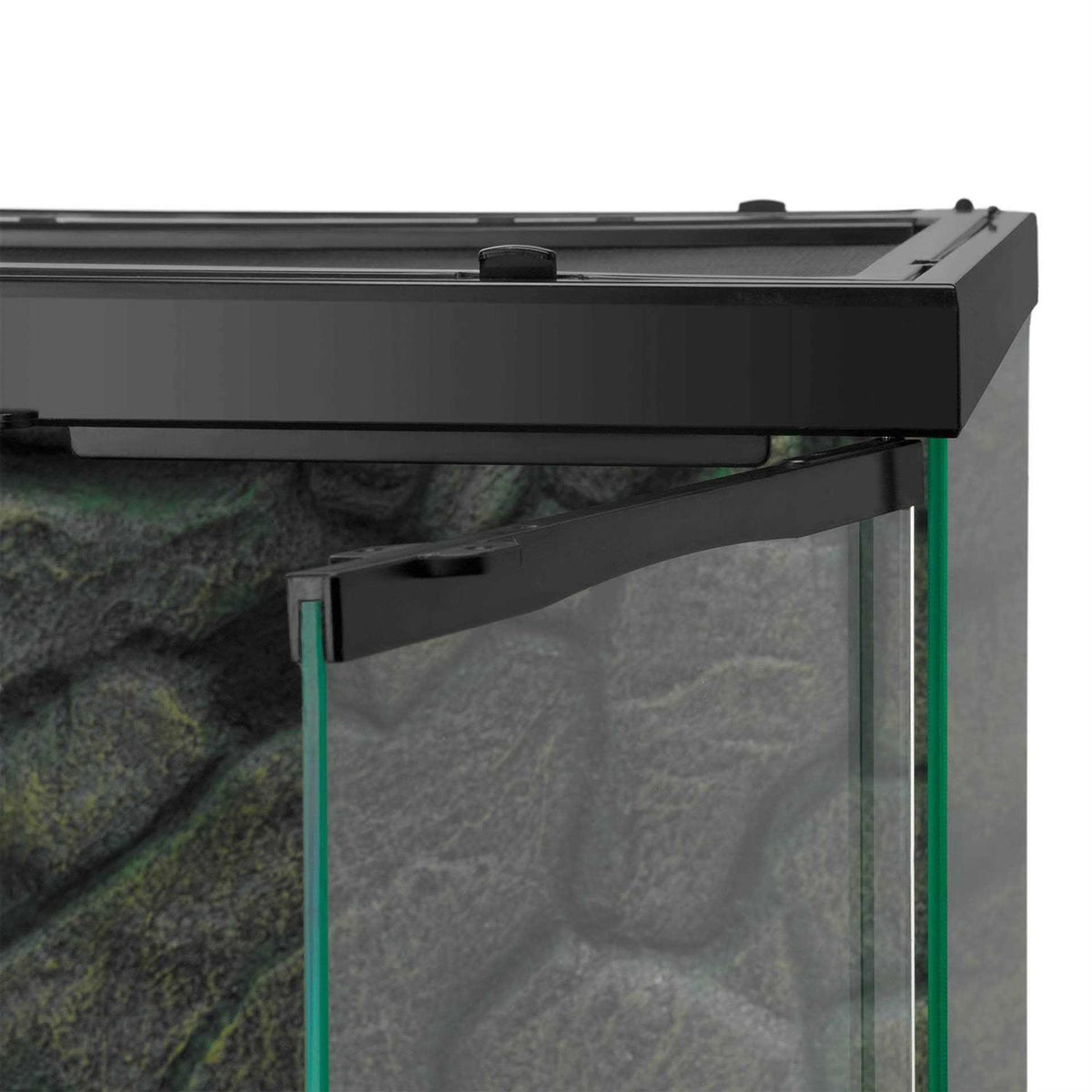 Terrarium M549380