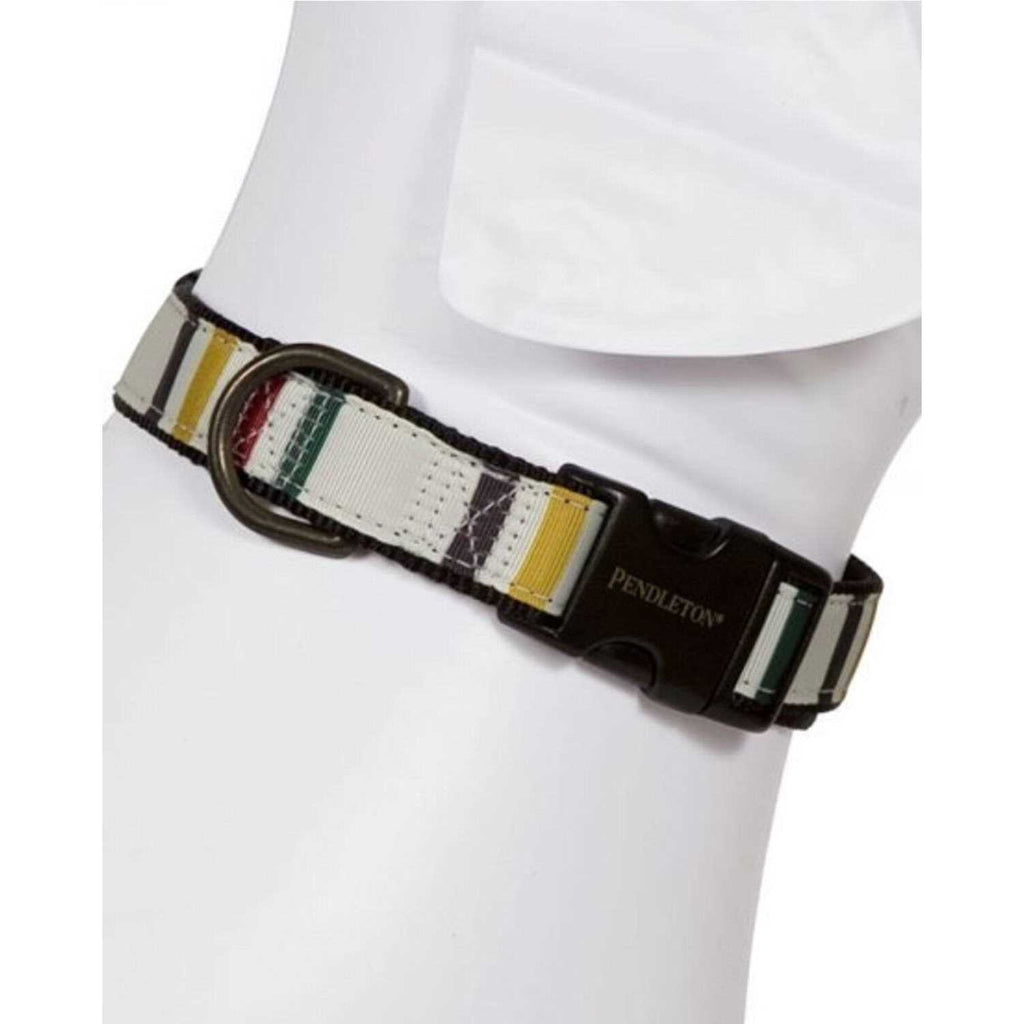 Dog Collar I1775