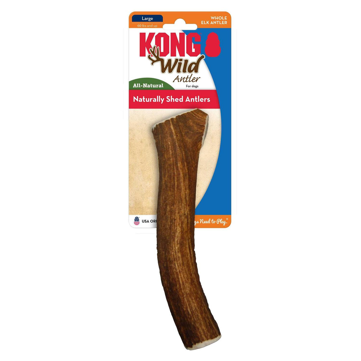 Whole Wild Elk Antler Z147352
