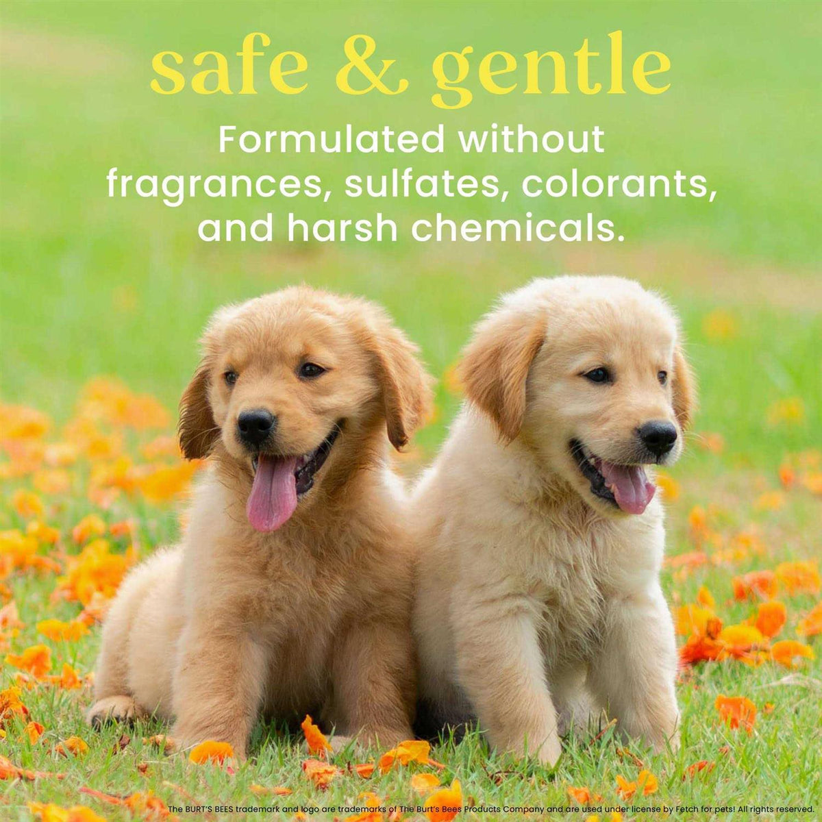 Tearless 2-in-1 Shampoo & Conditioner K9693