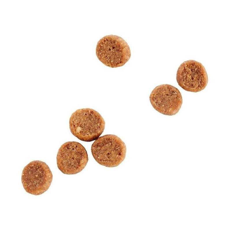 Grain Free Senior Chicken Recipe Dry Cat Food D503