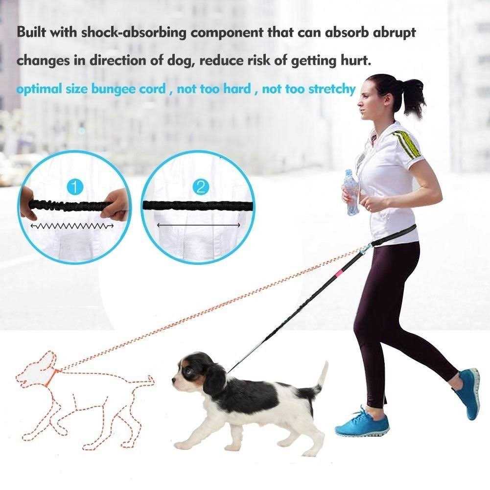 Hands Free Reflective Bungee Dog Leash V98327