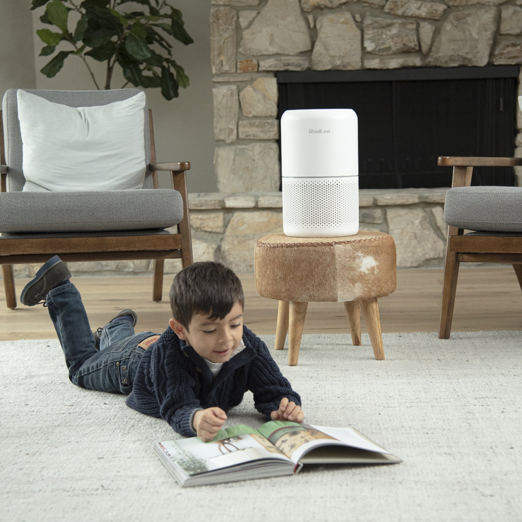 White True HEPA Air Purifier Y8738