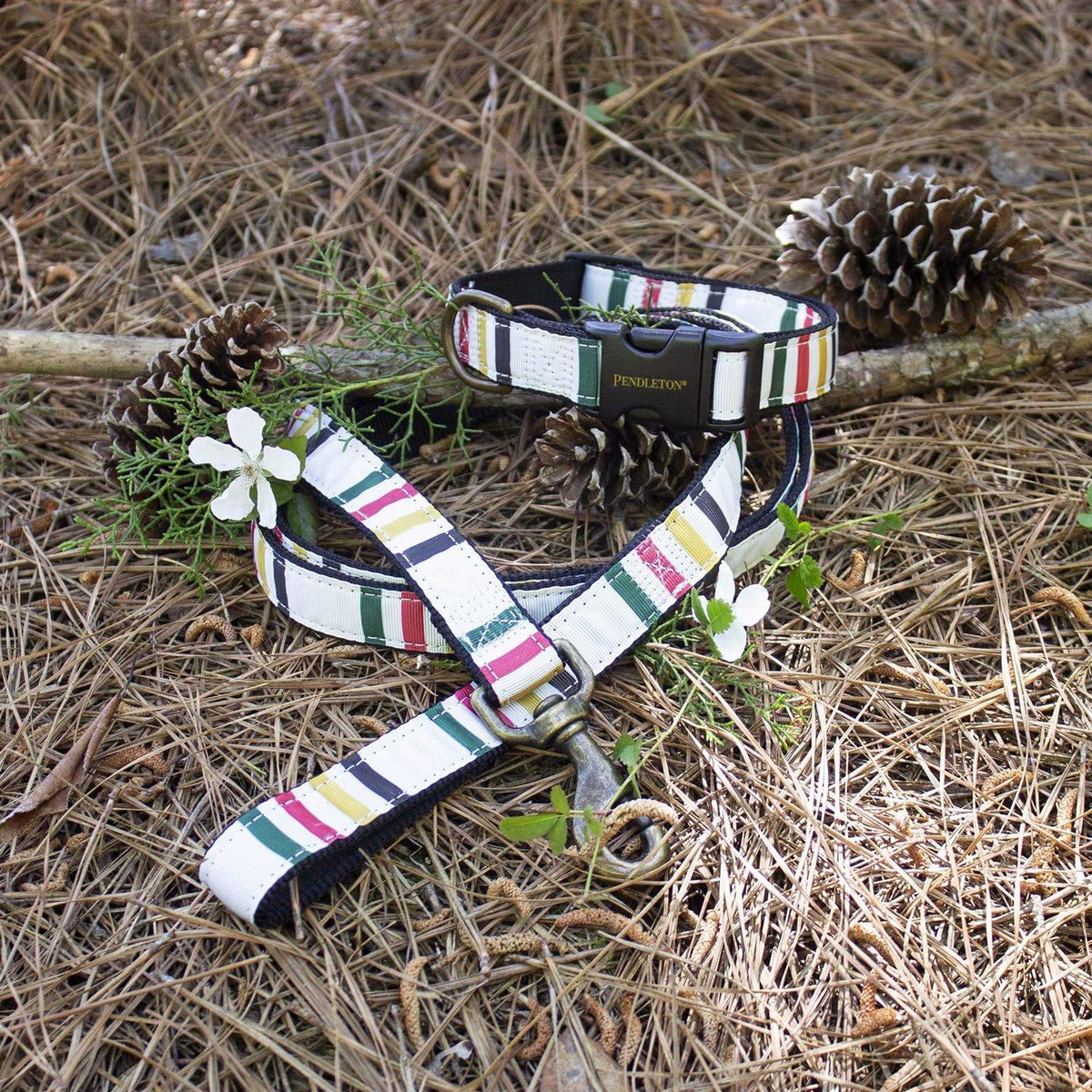 Dog Collar I1775