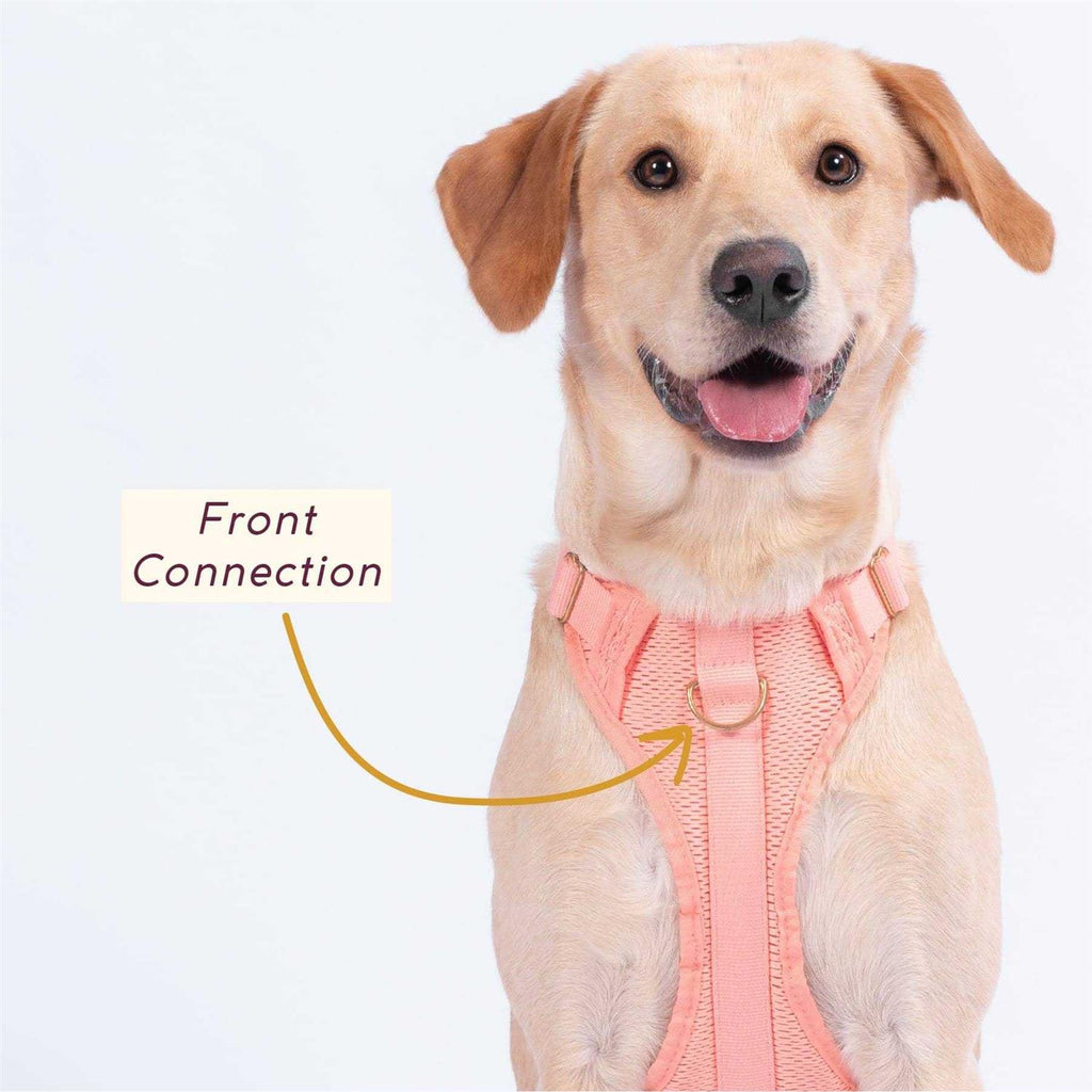 Pet Supplies Y66406