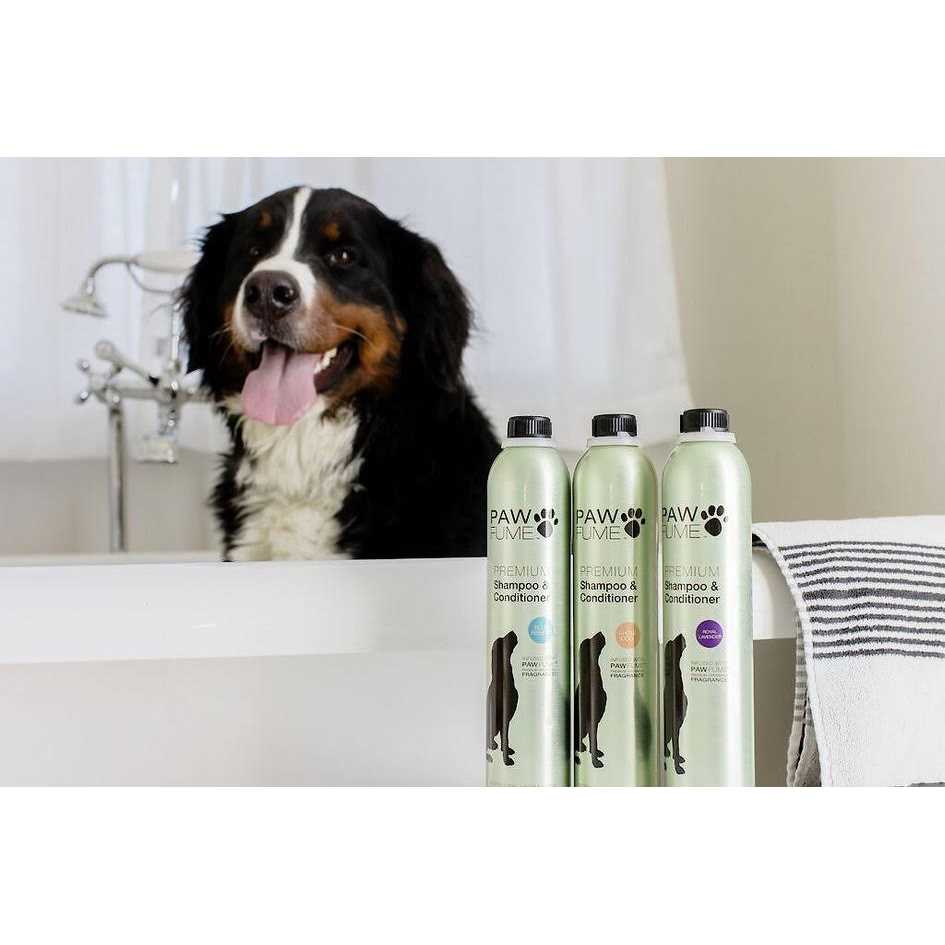 Hypoallergenic Dog Shampoo and Conditioner N2020