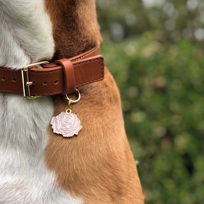 Pet Supplies J8224