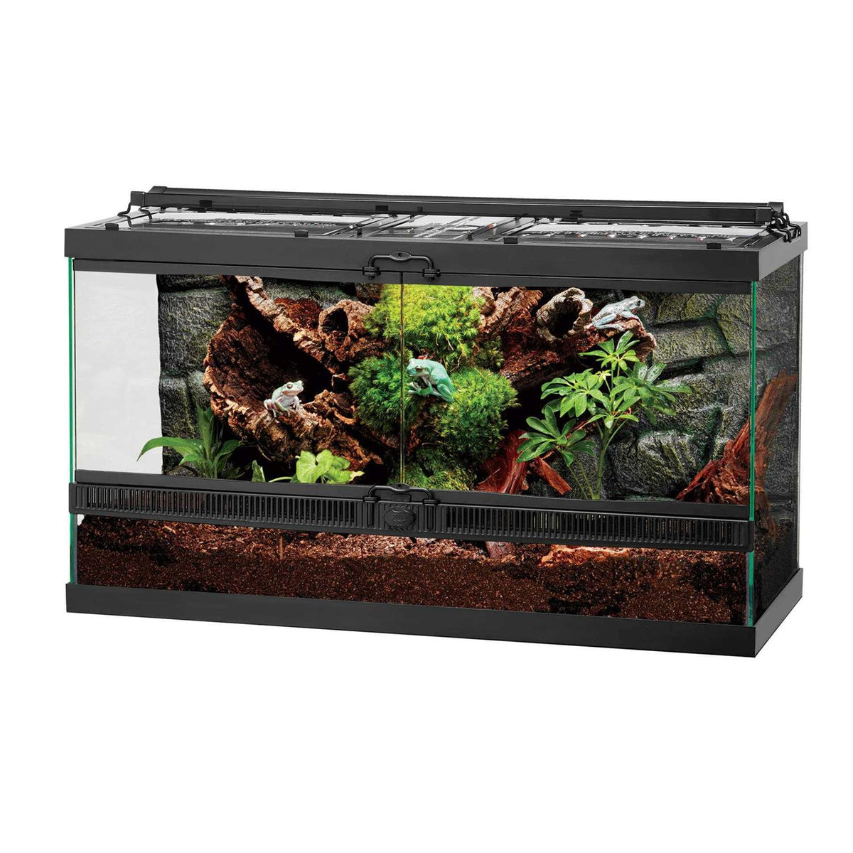Terrarium M549380
