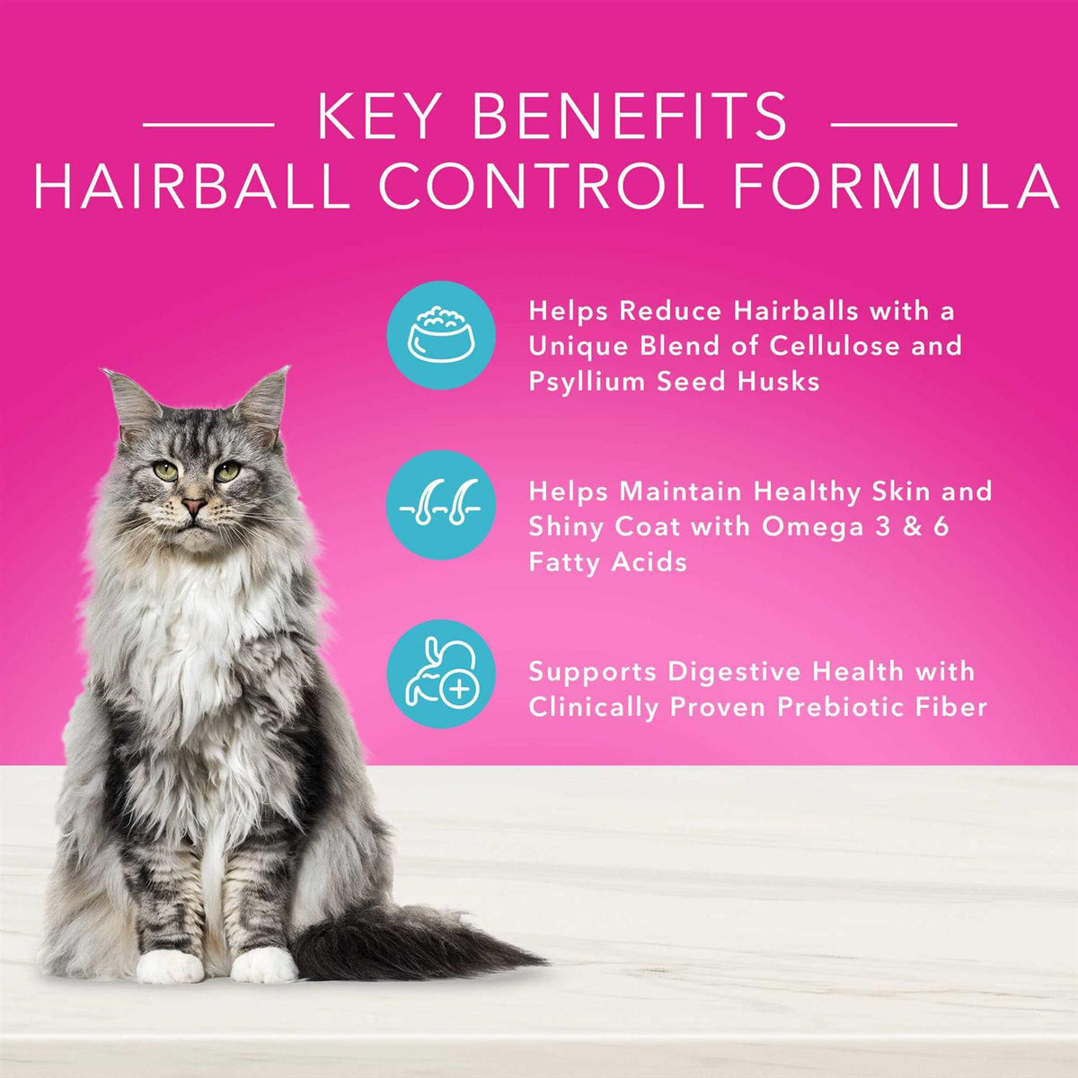 Adult Dry Cat Food T24776