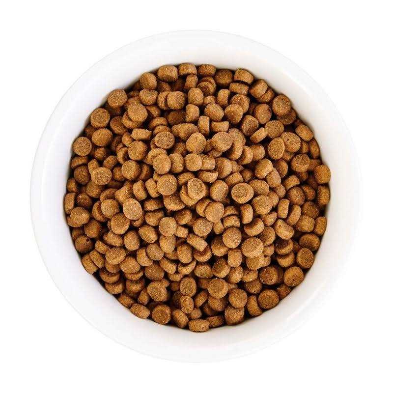 Grain Free Senior Chicken Recipe Dry Cat Food D503
