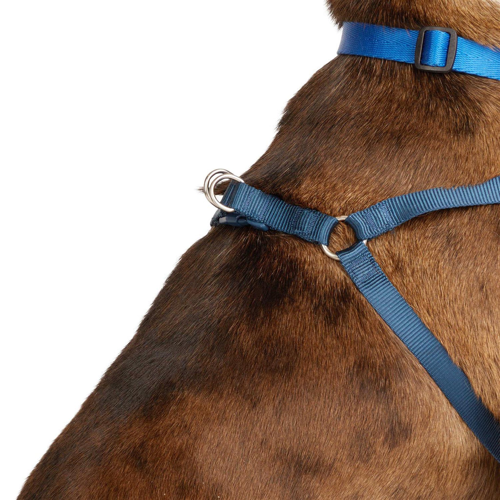 Padded Step-in Dog Harness G528912