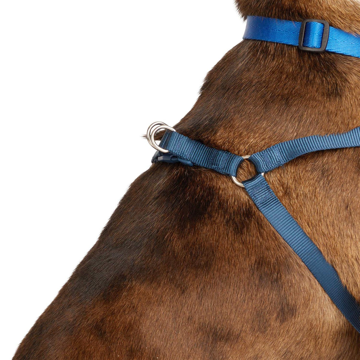 Padded Step-in Dog Harness G528912