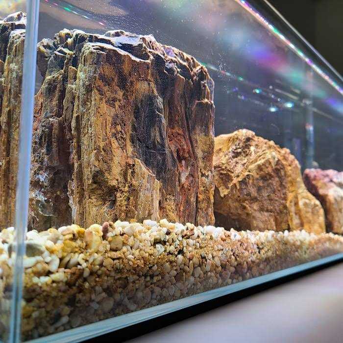 Crystal Bookshelf Aquarium W513