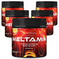 Meltamin Powder Energy Supplement Powder 5 Pack I55622