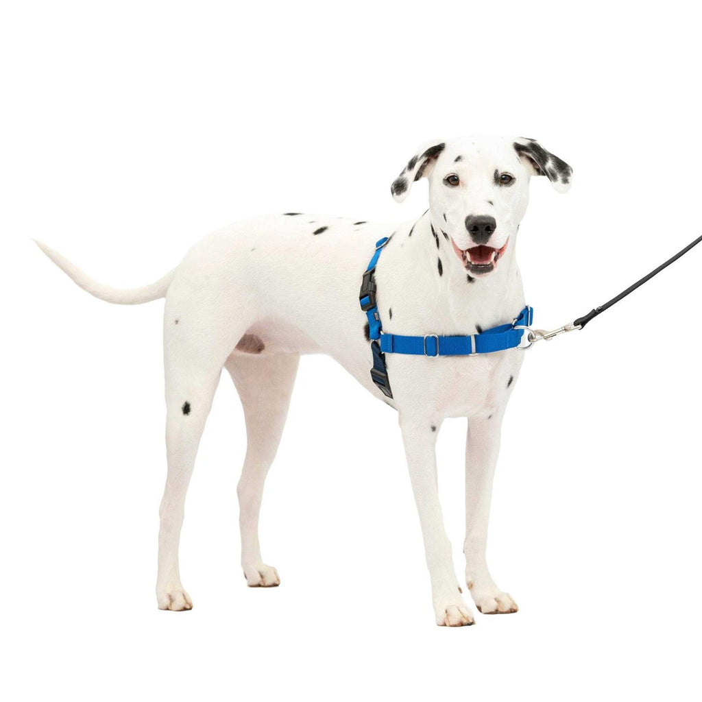 Easy Walk Dog Harness A581