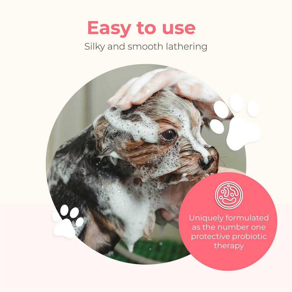Hypoallergenic Dog Shampoo and Conditioner N2020