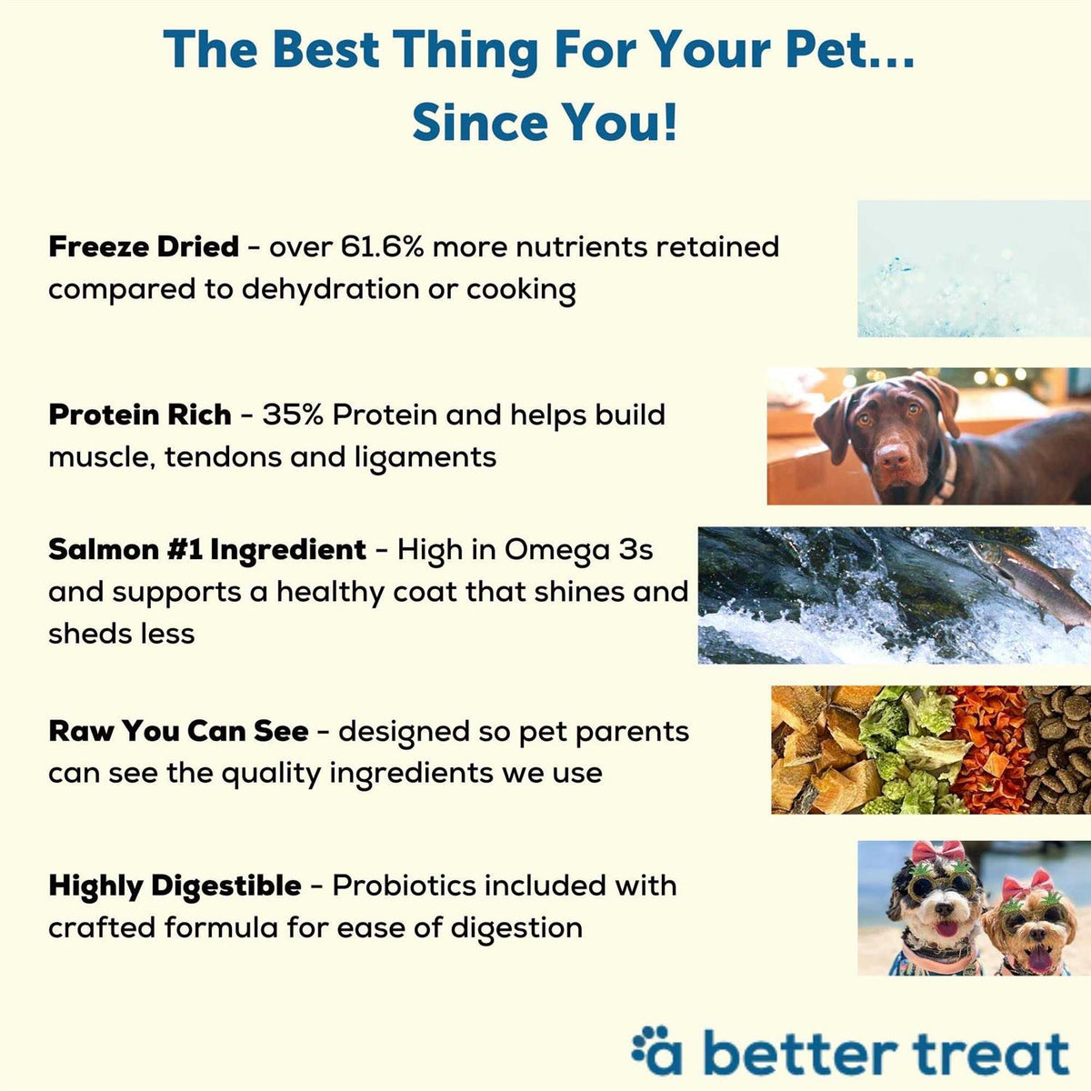 Salmon Raw Dog Food T451