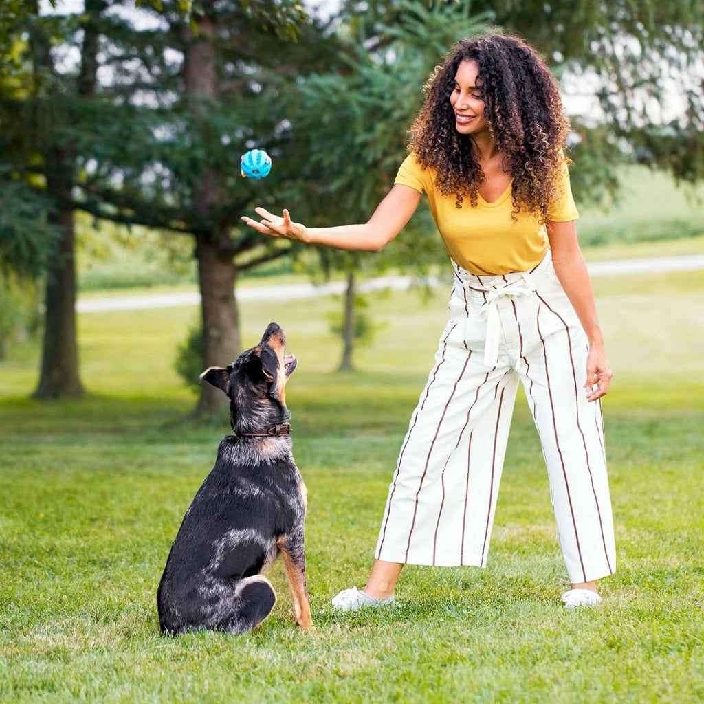Salmon Veggies & Brown Recipe Dry Dog Food A414480
