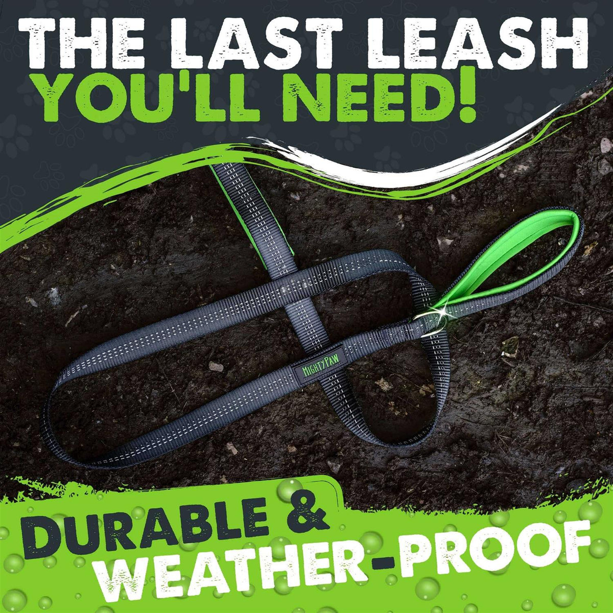 Dual Handle Dog Leash C190740