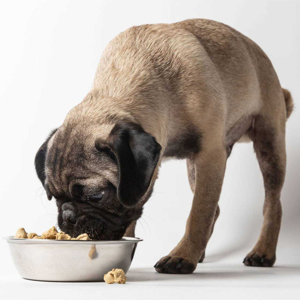 Freeze Dried Dog Food F7264