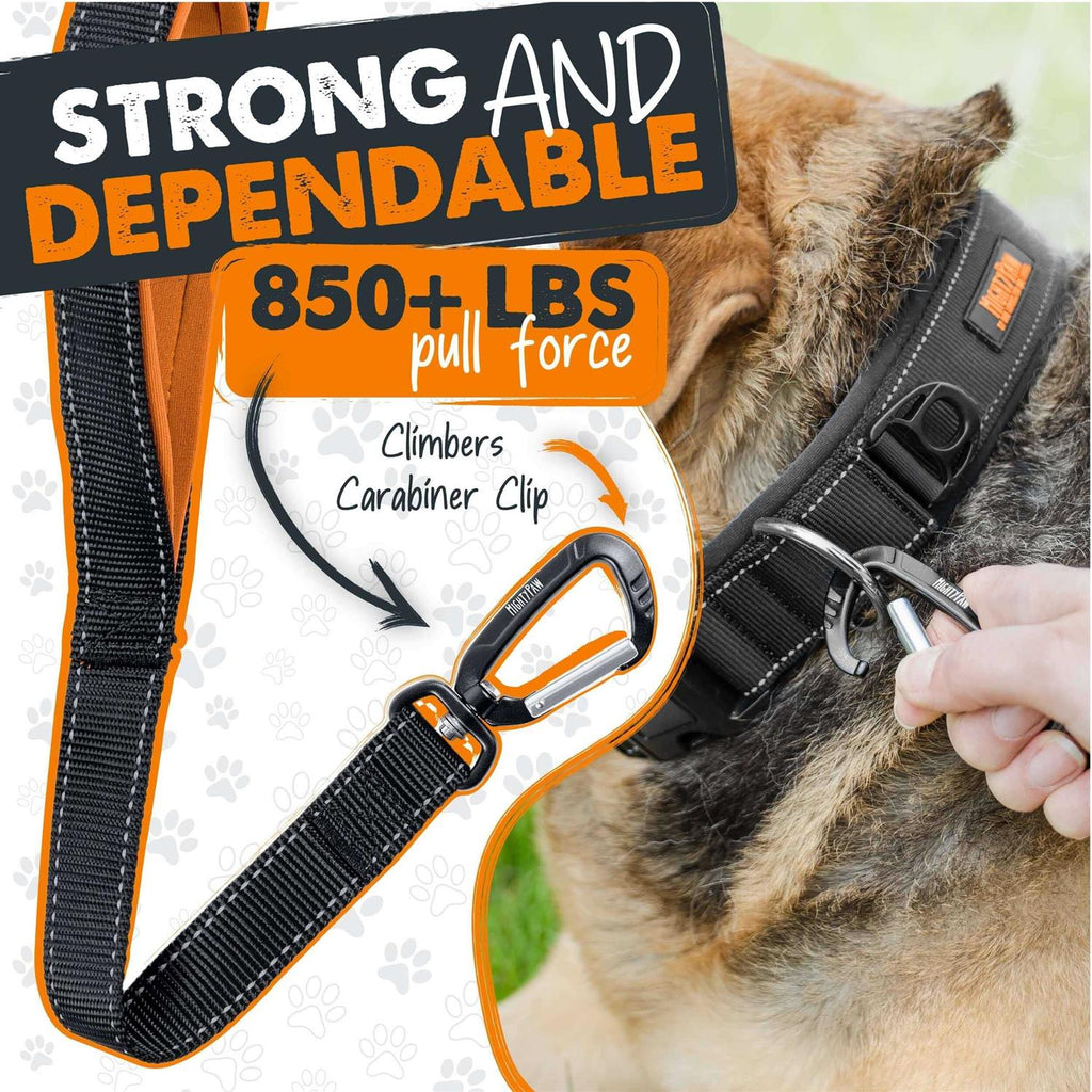 Dual Handle Dog Leash C190740